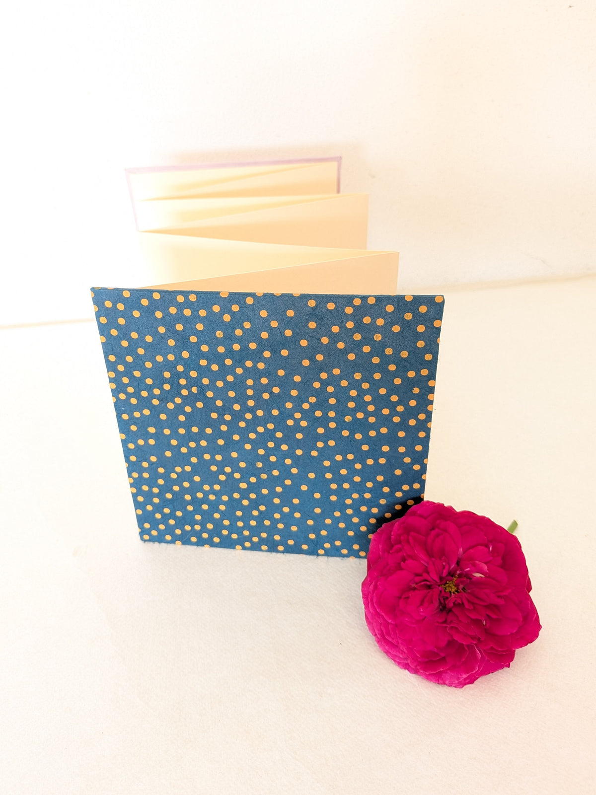 Mini album fotografico a fisarmonica con pois in miele e blu notte