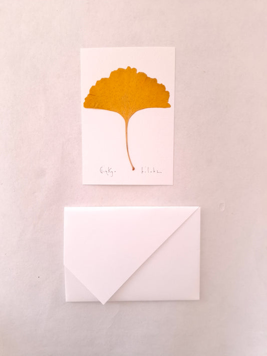 Cartolina Botanica con foglia pressata di Ginkgo
