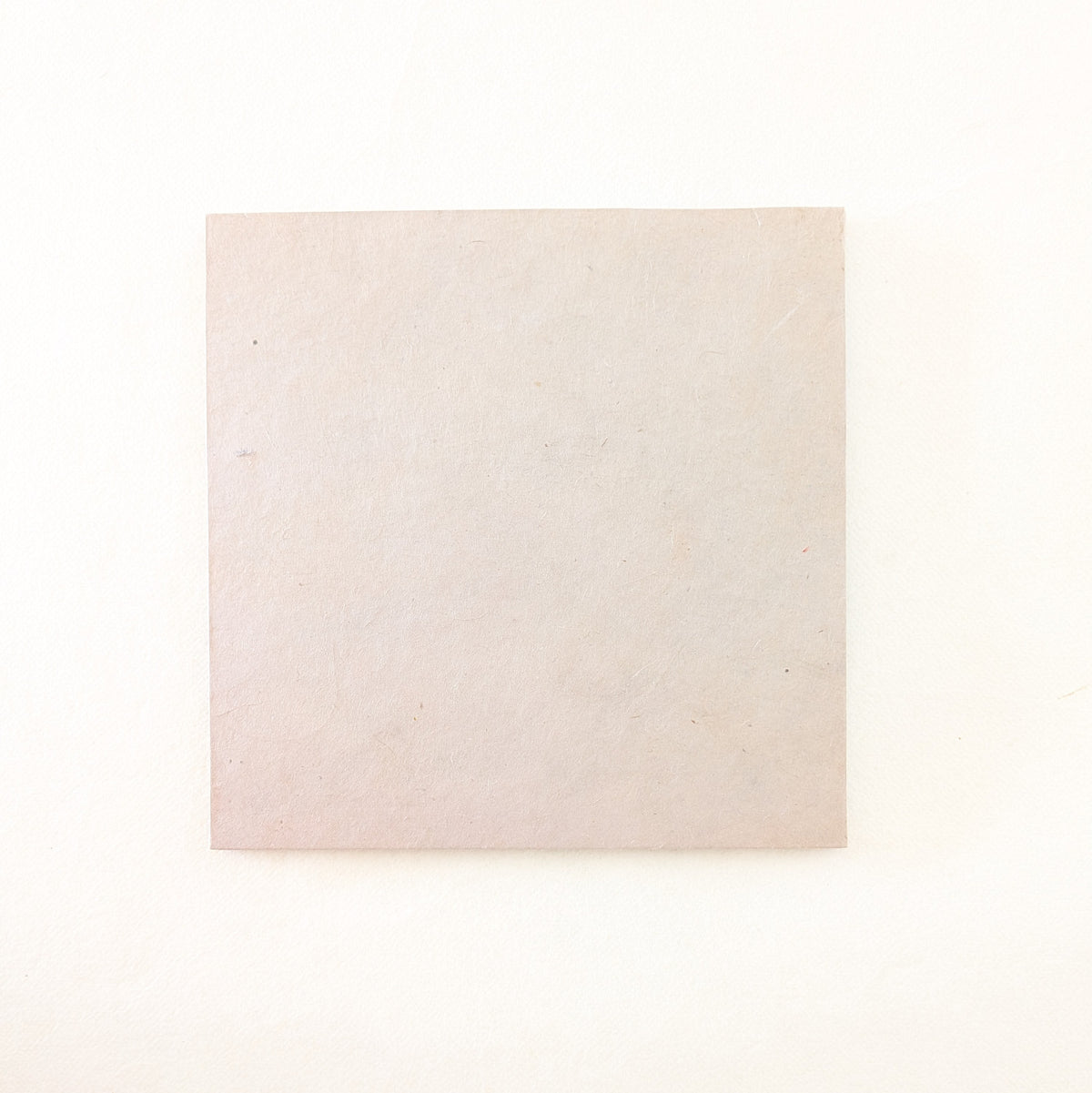 Album Leporello quadrato con fiori di Carota Selvatica
