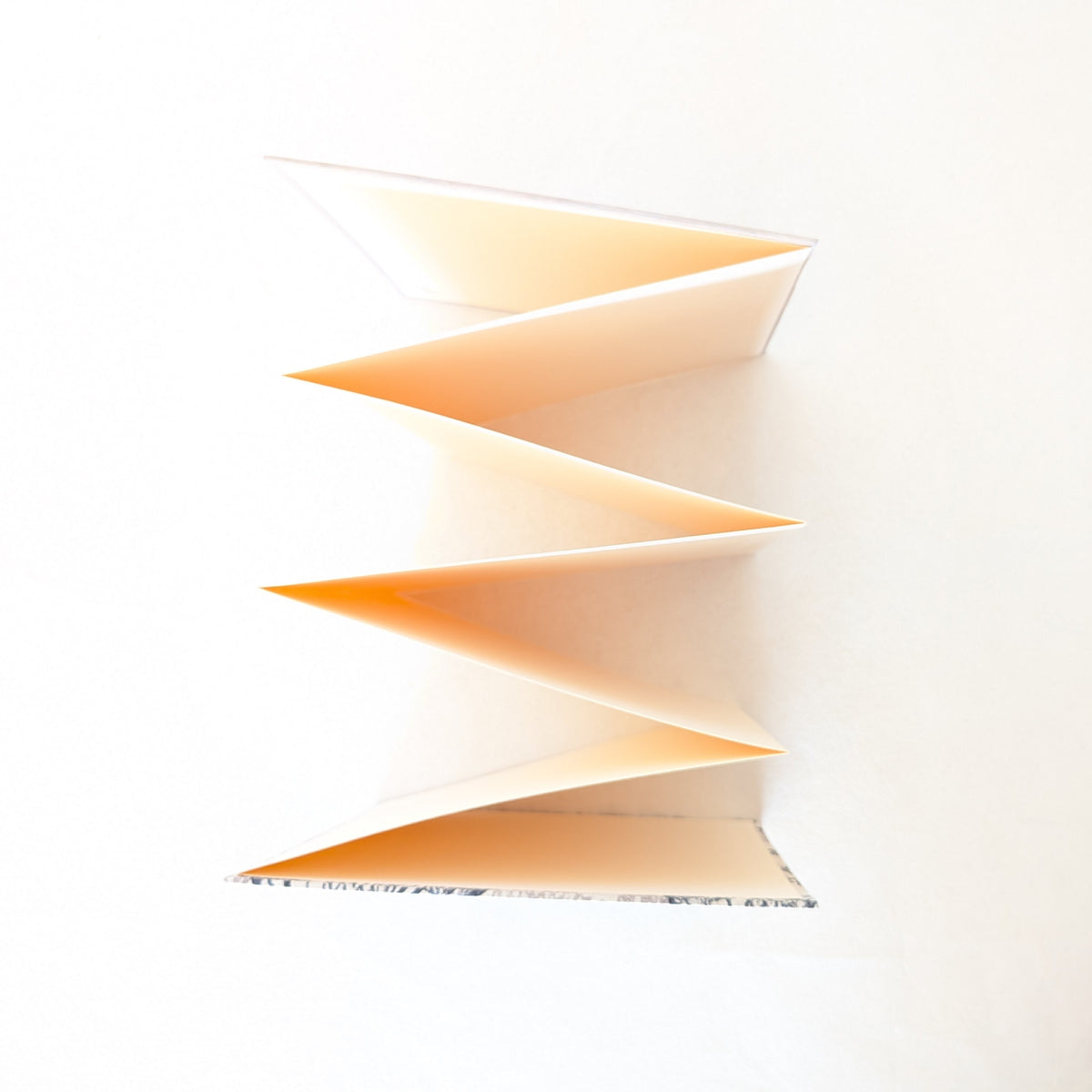 Album Leporello quadrato con fiori di Carota Selvatica
