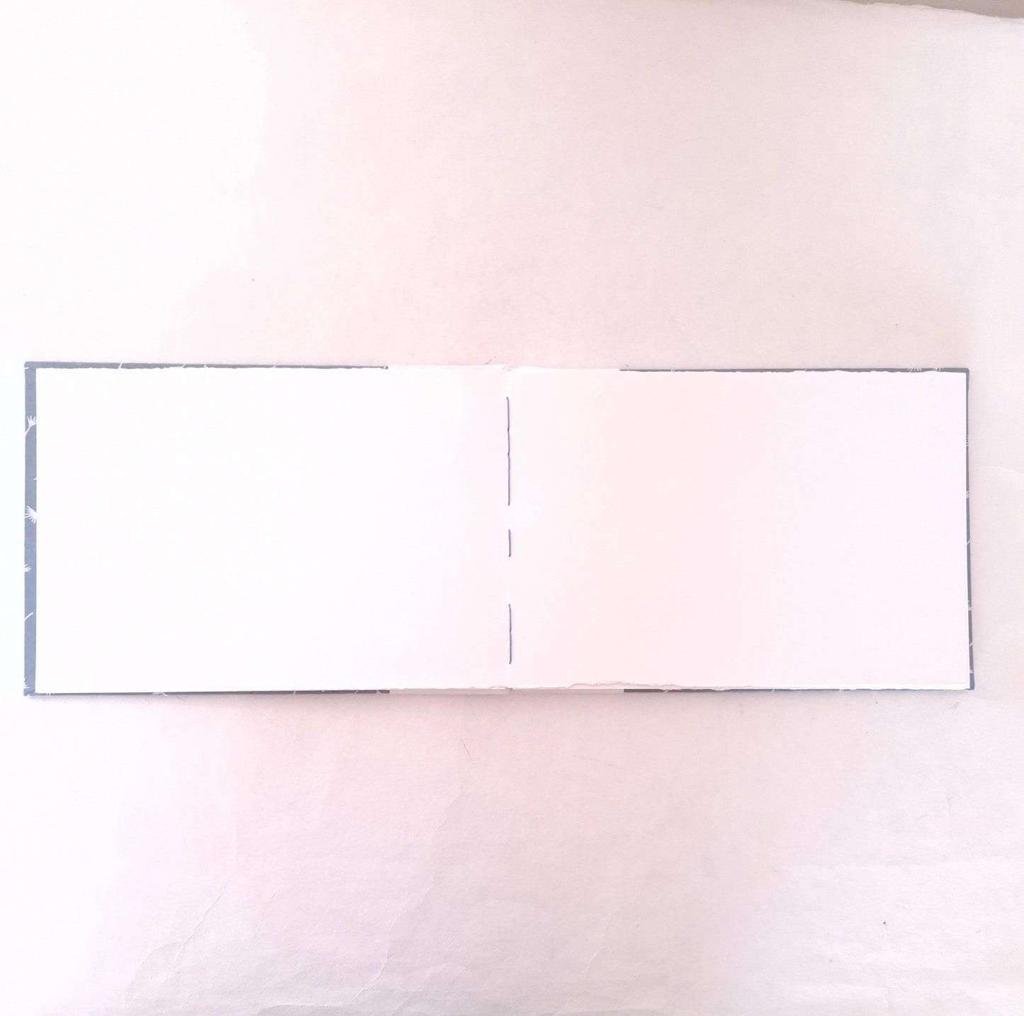 Album per acquerello con semi di soffione in bianco e celeste
